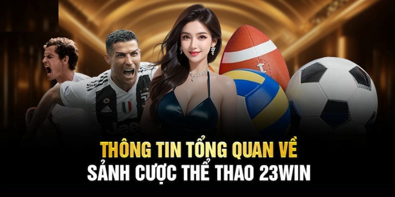 Đôi nét cơ bản nhất về sảnh thể thao 23Win