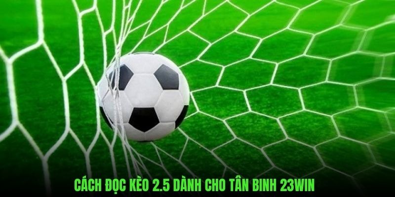 Hướng dẫn cách đọc kèo chuẩn xác dành cho newbie trên 23WIN