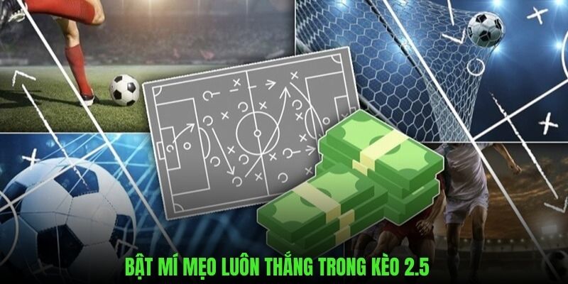 Tuyệt chiêu luôn thắng trong cá cược kèo 2.5 là gì 