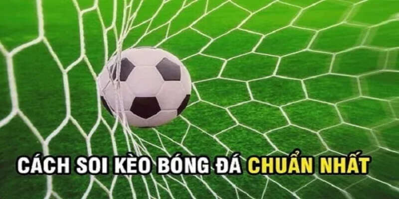 Các kinh nghiệm giúp bạn soi kèo nhà cái 23WIN đắc thắng 