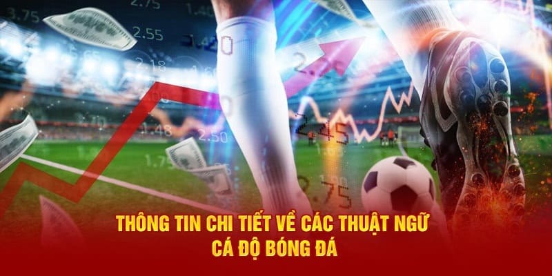 Giới thiệu sơ lược về thuật ngữ trong cá độ bóng đá