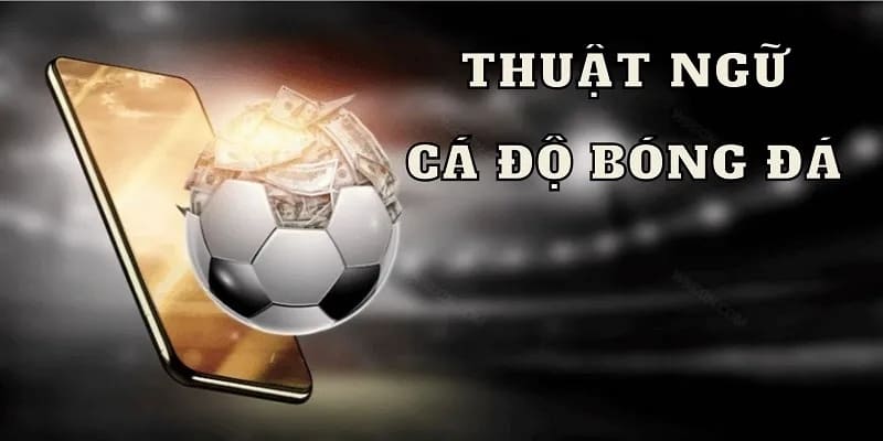 Ý nghĩa của thuật ngữ trong cá độ bóng đá trong môn thể thao 23WIN